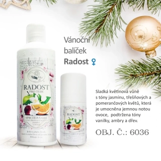 Vánoční balíček RADOST