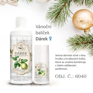 Vánoční balíček DÁREK
