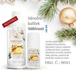 Vánoční balíček VDĚČNOST